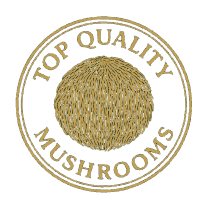 Shoper demo - strona główna