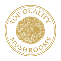 Shoper demo - strona główna