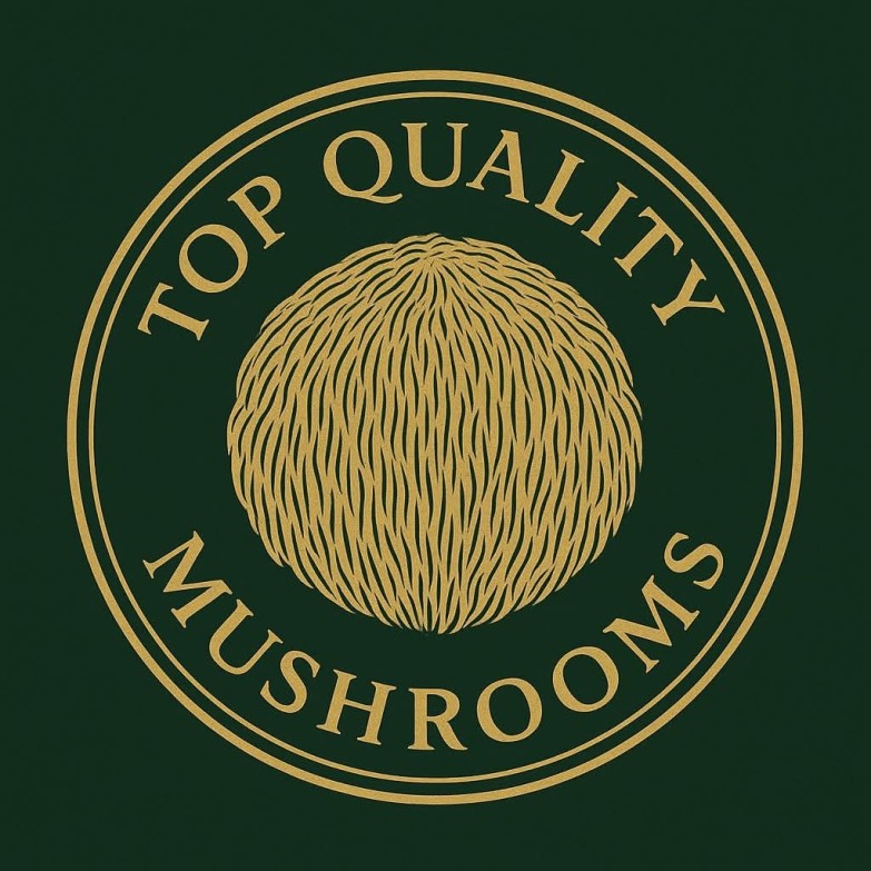 All you need to know