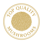 Lume - strona główna